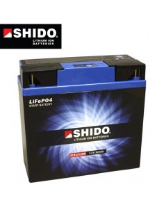 Batterie Lithium Hautes performances SHIDO16Ah 186x82x171mm