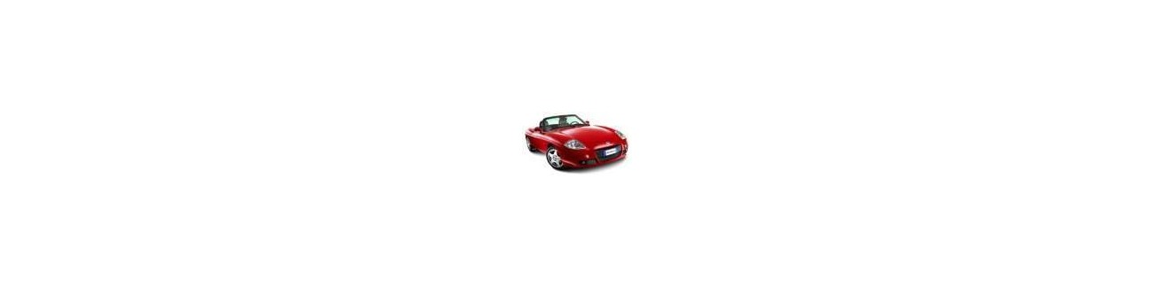 Silencieux Echappement Fiat Barchetta
