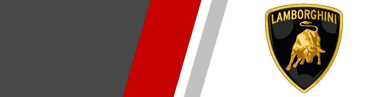 Disques d'embrayage renforcés Lamborghini