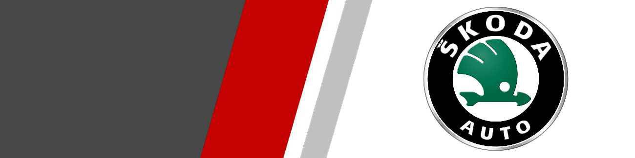 Filtres à air de remplacement hautes performances pour Skoda