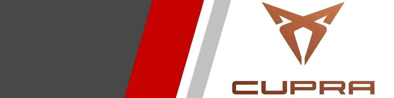 Silencieux échappement CUPRA