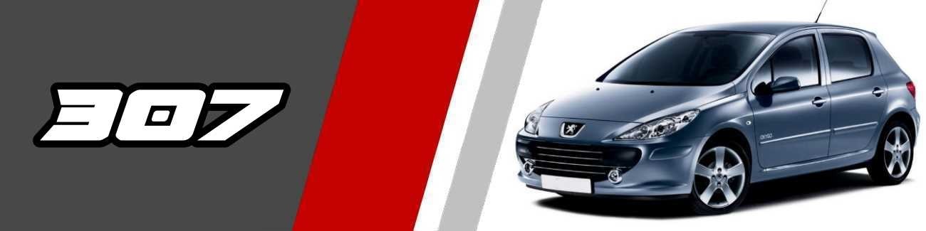 Silencieux d'échappement peugeot 307