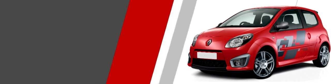 Silencieux d'échappement pour Renault Twingo