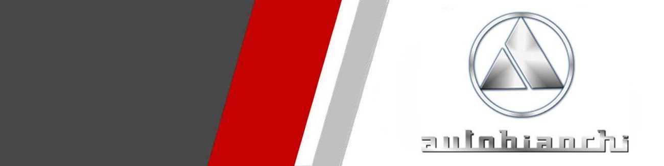 Disques d'embrayage renforcés Autobianchi