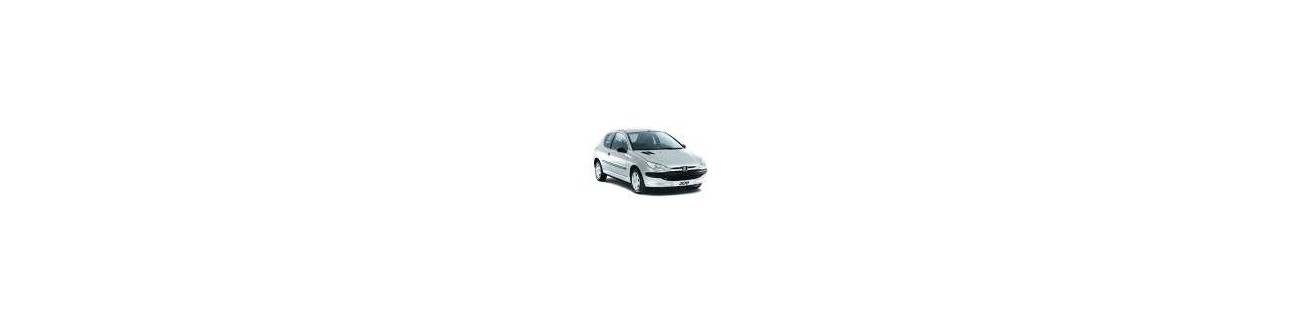 Combinés filetés Peugeot 206