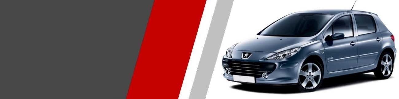 Disques de freins Peugeot 307