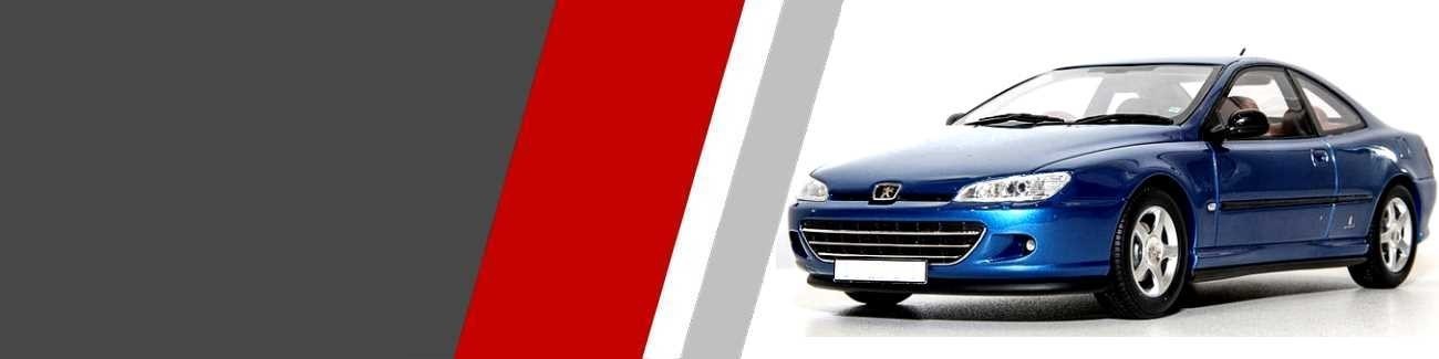 Disques de freins Peugeot 406